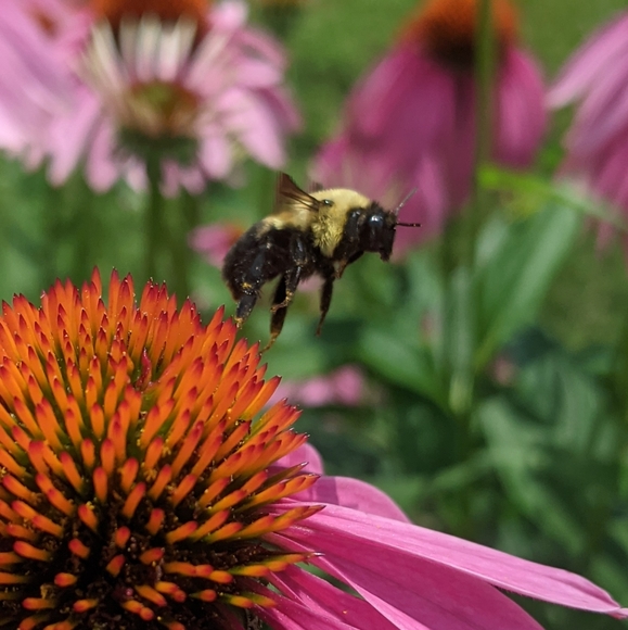 ♥️ - Picture 9 of 14